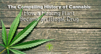 The Compelling History of Cannabis: How a Healing Plant Became Illegal