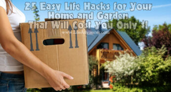 25 Easy Life Hacks for Your Home and Garden That Will Cost You Only $1
