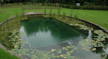 How to Build a Natural Pool in Your Garden