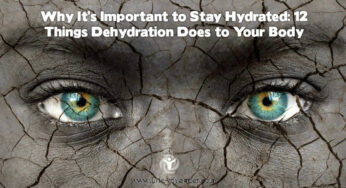 12 Reasons to Stay Hydrated: What Dehydration Does to Your Body