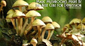 Psilocybin and Depression: Magic Mushrooms Found to Be Effective in 80% of Cases