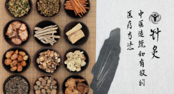 10 Ancient Chinese Herbs That Work Wonders for Different Ailments