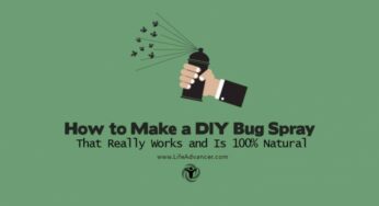 How to Make a DIY Bug Spray That Really Works and Is 100% Natural