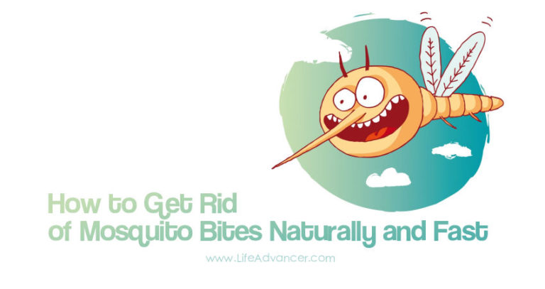 Read more about the article How to Get Rid of Mosquito Bites and Stop the Itching Naturally and Fast