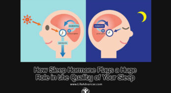 How Sleep Hormone Plays a Huge Role in the Quality of Your Sleep