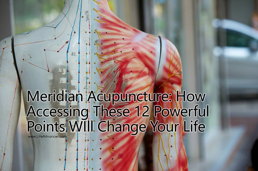 The Meridian Acupuncture