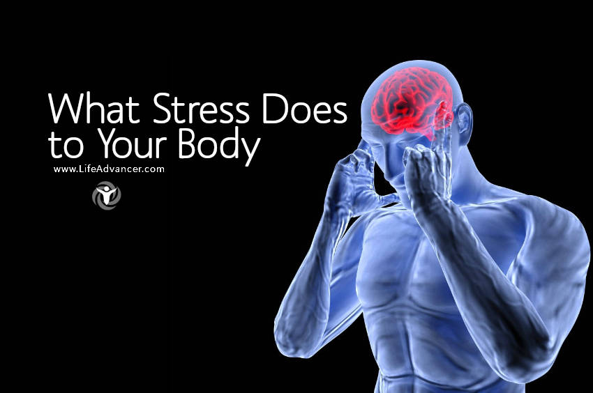 what Does Stress do to your Body