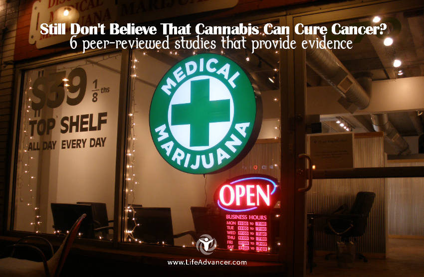 cannabis can cure cancer 1