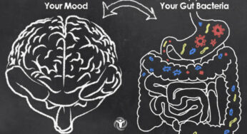 6 Remarkable Ways Your Gut Health Affects Your Life and How to Restore It