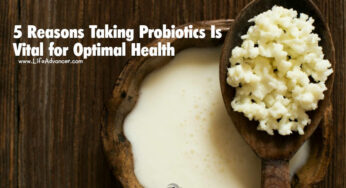 5 Reasons Taking Probiotics Is Vital for Optimal Health