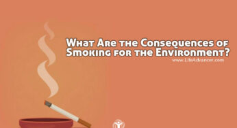 What Are the Consequences of Smoking for the Environment?