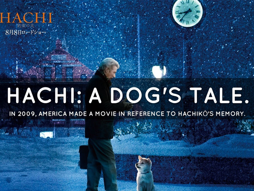 Hachi, a dog’s tale (2009)