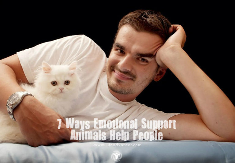 Read more about the article 7 Ways Emotional Support Animals Help Mentally Ill People