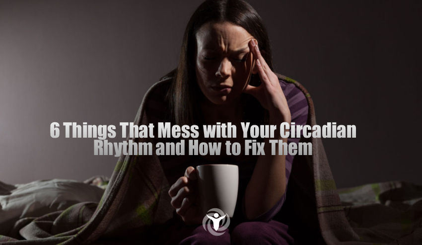 Your Circadian Rhythm 2