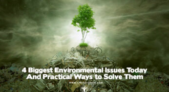 4 Biggest Environmental Issues Today & Practical Solutions