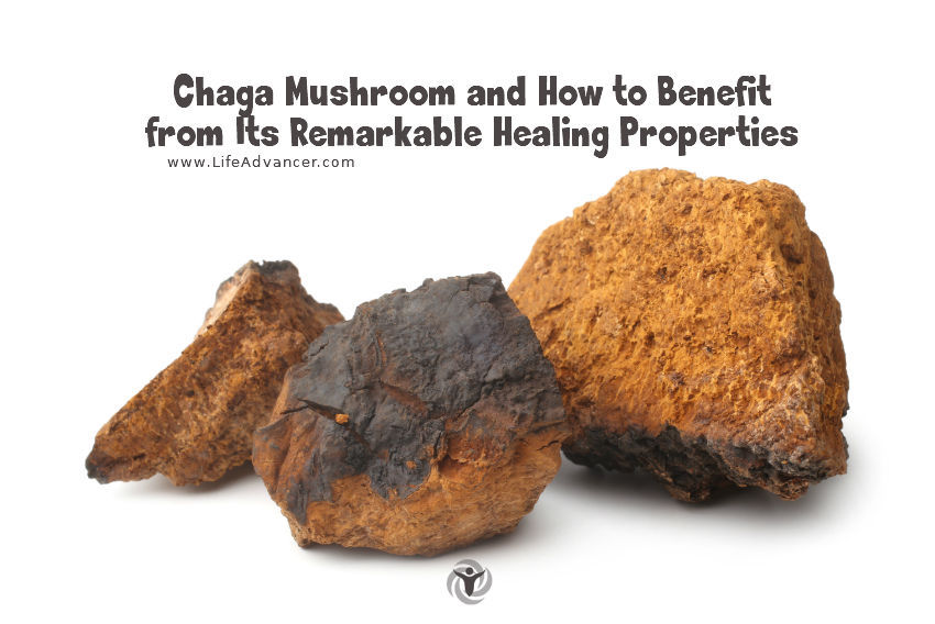 Chaga Mushroom and How to Consume It for Health Benefits
