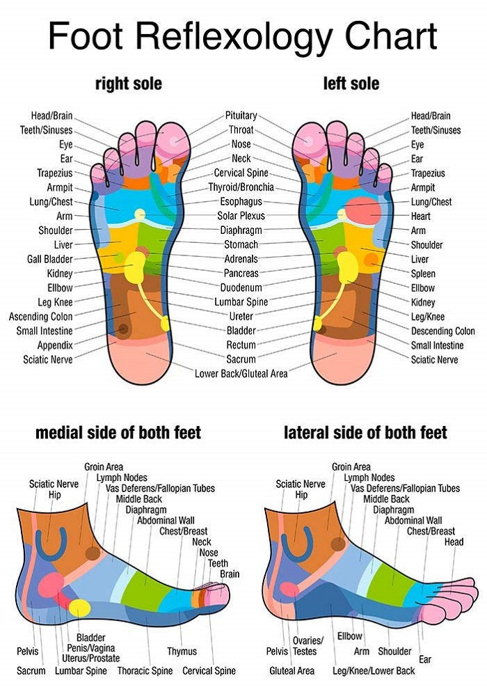 Foot Chart For Body