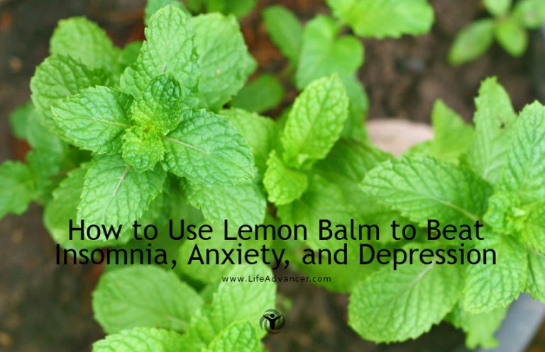 Read more about the article How to Use Lemon Balm to Beat Insomnia, Anxiety and Depression