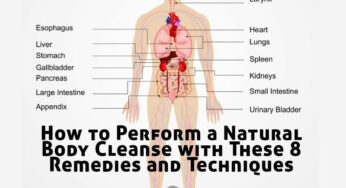 How to Perform a Natural Body Cleanse with These 8 Remedies and Techniques