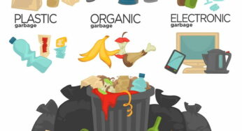 8 Plastic Alternatives That Could Save the Planet from Plastic Pollution