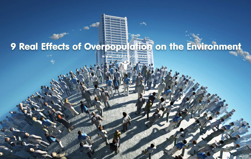 Effects of Overpopulation on the Environment