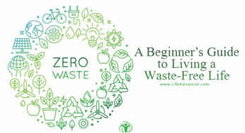 Zero Waste Living: A Beginner’s Guide to Living a Waste-Free Life