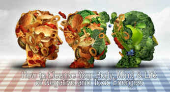 How to Cleanse Your Body, Mind & Life of Negative and Toxic Energies