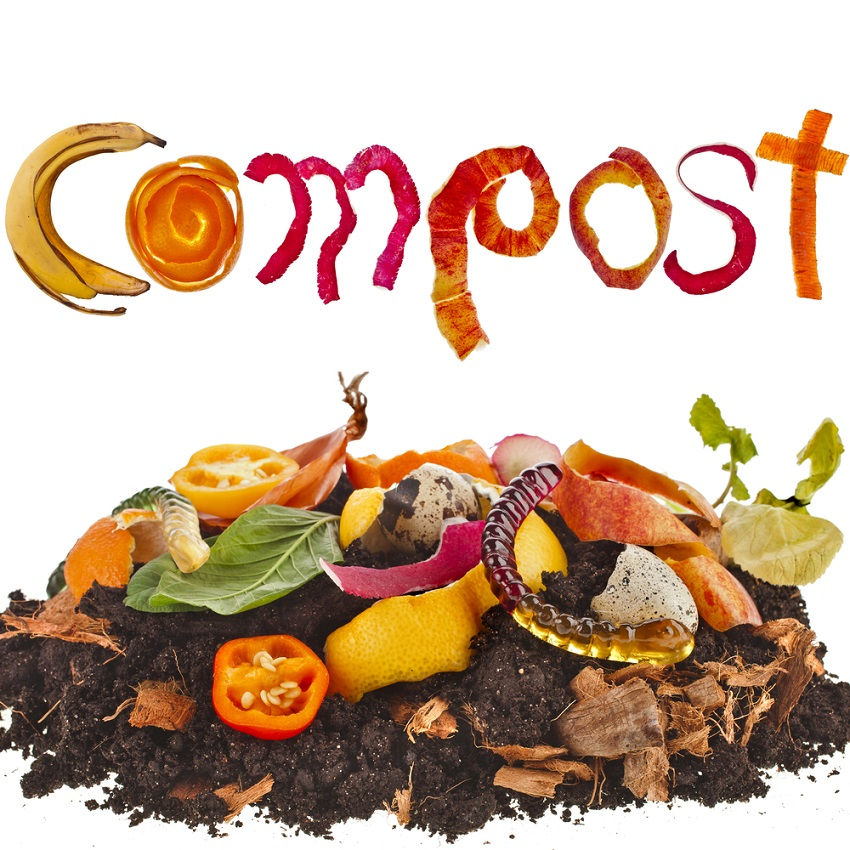 What to put into the compost