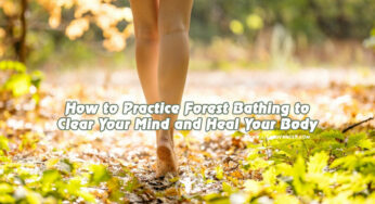 How to Practice Forest Bathing to Clear Your Mind and Heal Your Body
