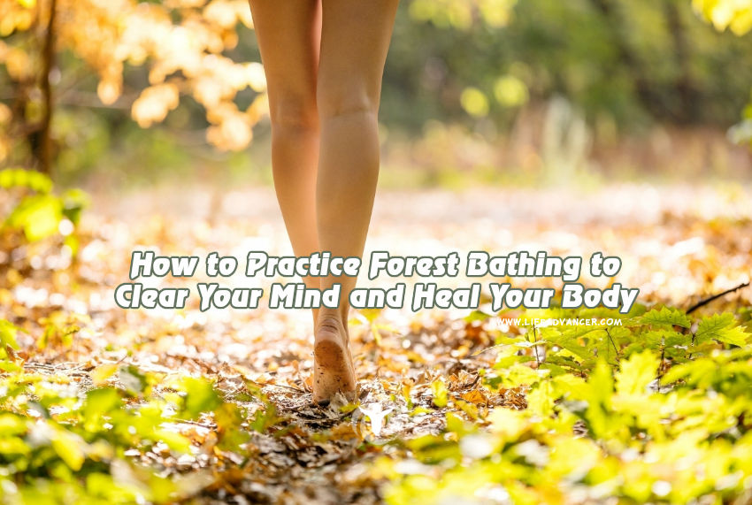 How to Practice Forest Bathing