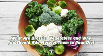 What Are Brassica Vegetables and Why You Should Add More of Them to Your Diet