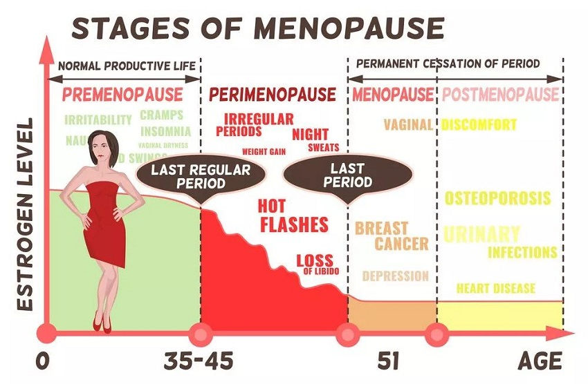 stages of menopause