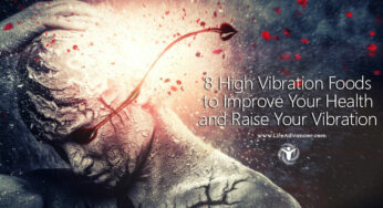 8 High Vibration Foods to Boost Your Health & Raise Your Vibration