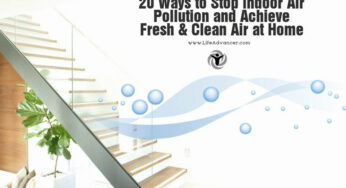 20 Ways to Stop Indoor Air Pollution and Achieve Fresh & Clean Air at Home
