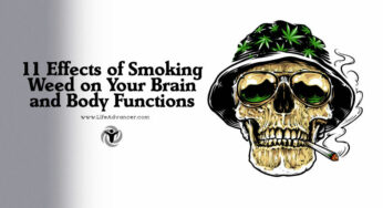 11 Effects of Smoking Weed on Your Brain and Body Functions