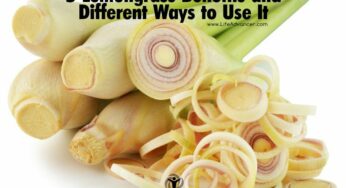 5 Lemongrass Benefits and 3 Different Ways to Use This Herb