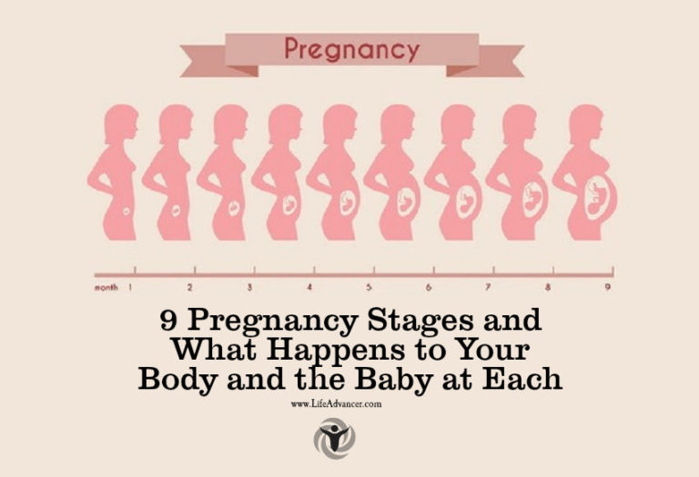 Read more about the article 9 Pregnancy Stages: What Happens to Your Body & Baby at Each