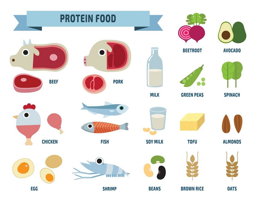 Protein Foods - Collagen best natural sources