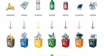 What Can Be Recycled and What Can’t: How to Recycle Correctly