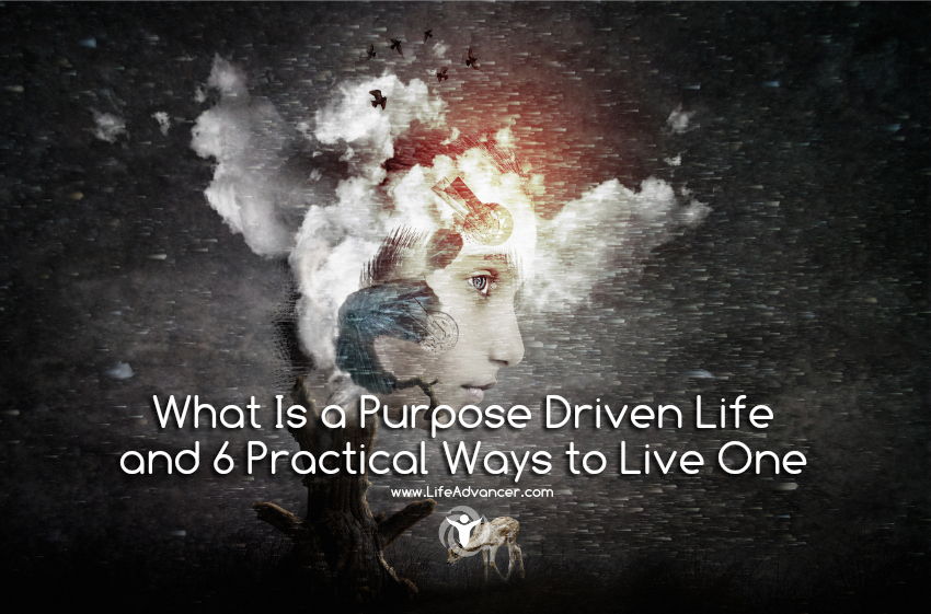 What Is a Purpose Driven Life