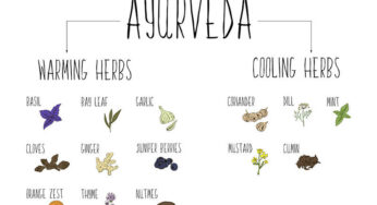 10 Ayurvedic Herbs & How to Use Them for Various Health Issues