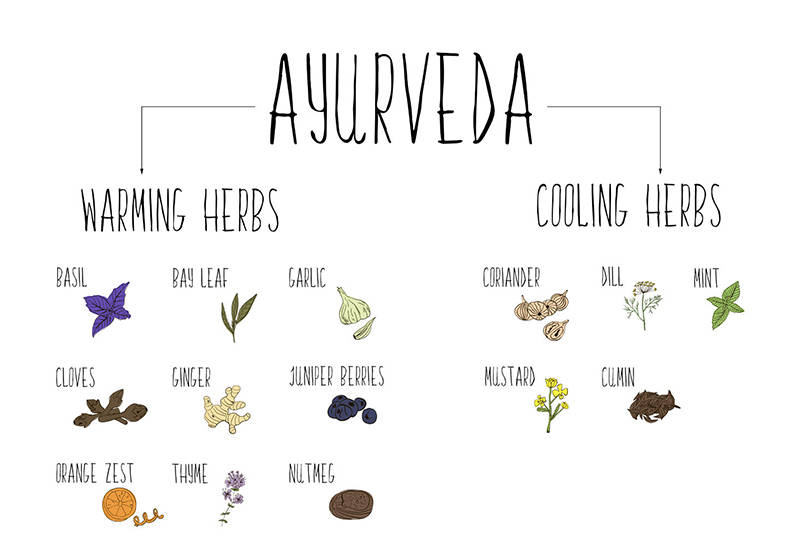 Ayurvedic Herbs and How to Use Them for Different Health Problems