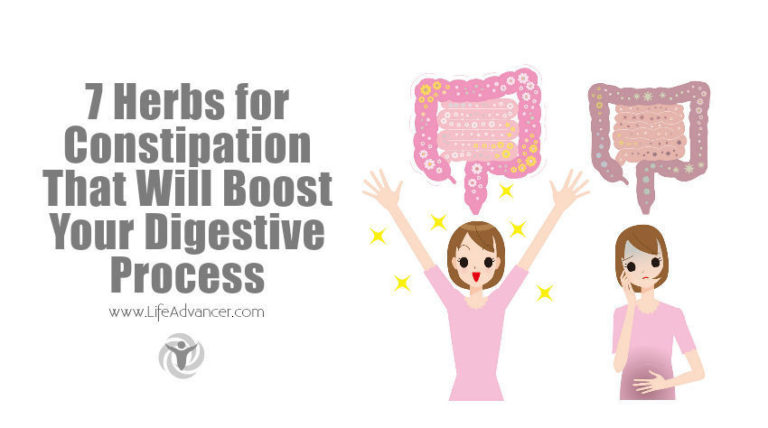Read more about the article 7 Herbs for Constipation to Boost Your Digestive Process