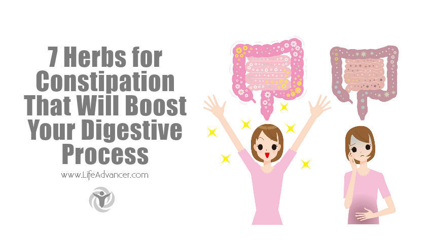 Herbs for Constipation Will Boost Digestive Process