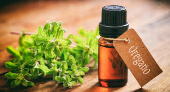 7 Oregano Oil Uses and Health Benefits You Should Know about