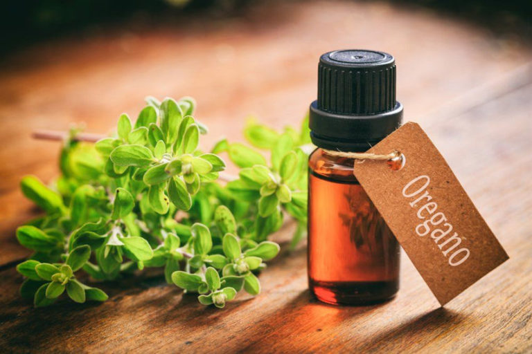Read more about the article 7 Oregano Oil Uses and Health Benefits You Should Know about