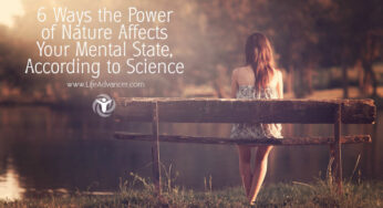 6 Ways the Power of Nature Affects Your Mental & Physical State