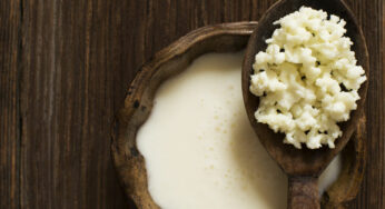 10 Kefir Health Benefits: Why to Include It in Your Diet