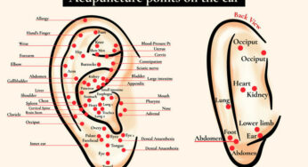 6 Powerful Ear Acupressure Points for Various Ailments & Aches