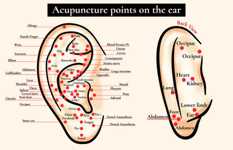 Read more about the article 6 Powerful Ear Acupressure Points for Various Ailments & Aches